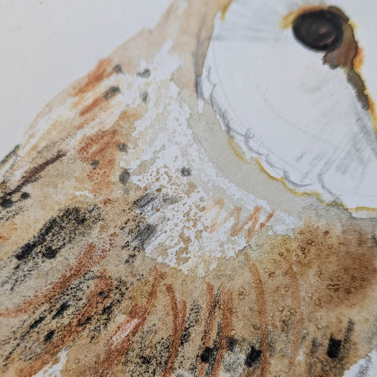 Watercolour Workshop - Wizard School & Potions by Sarah Patel Designs