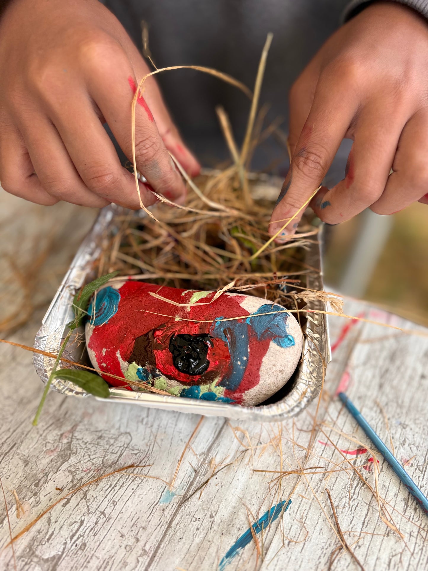 Pebble Pets - Thurs 7 Aug, 10.30am