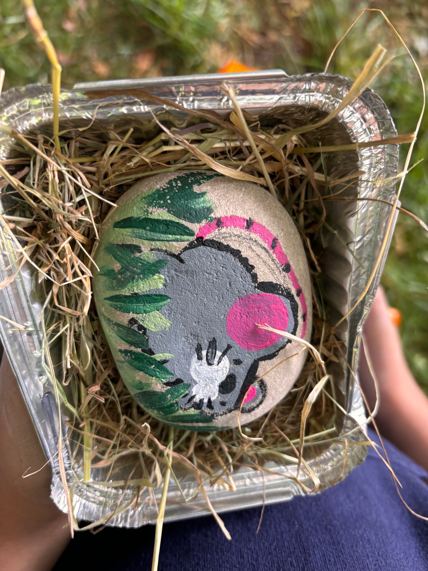 Pebble Pets - Thurs 7 Aug, 10.30am