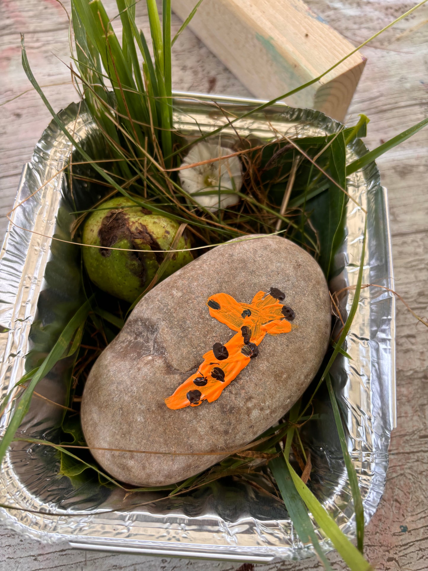 Pebble Pets - Thurs 7 Aug, 10.30am